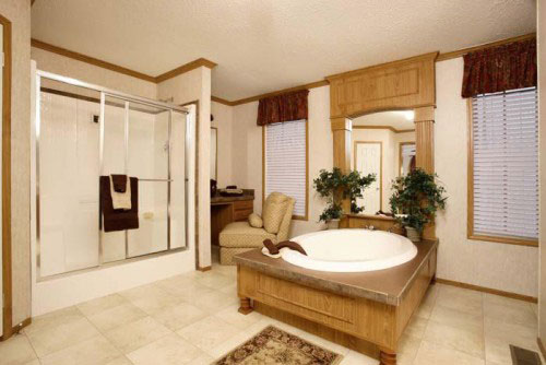 image-w7vwpd-500x5000 - Copy